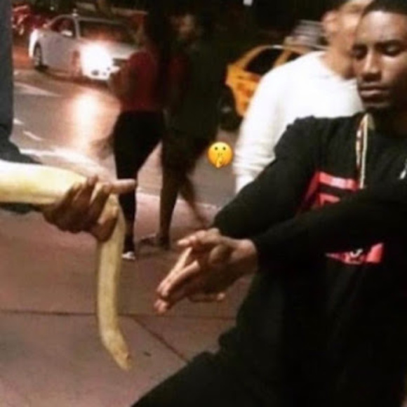 Meet your Posher, Kamari - Picture 1 of 1